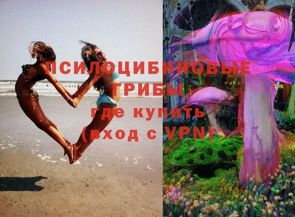 сатива Приозерск