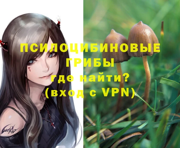 героин Губаха