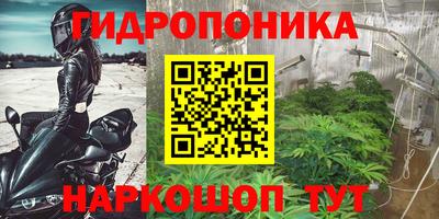 соль ск Кулебаки
