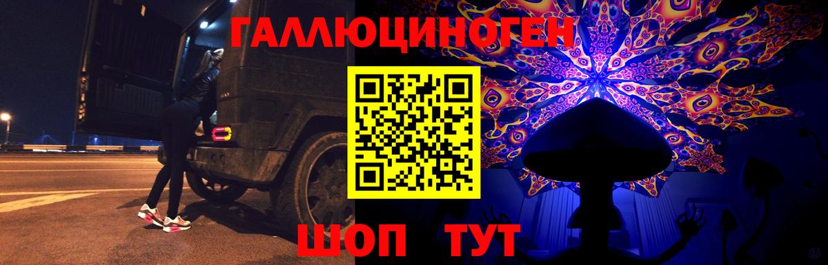 где купить наркоту  Вход с VPN  Кирово-Чепецк  Псилоцибиновые грибы GOLDEN TEACHER 